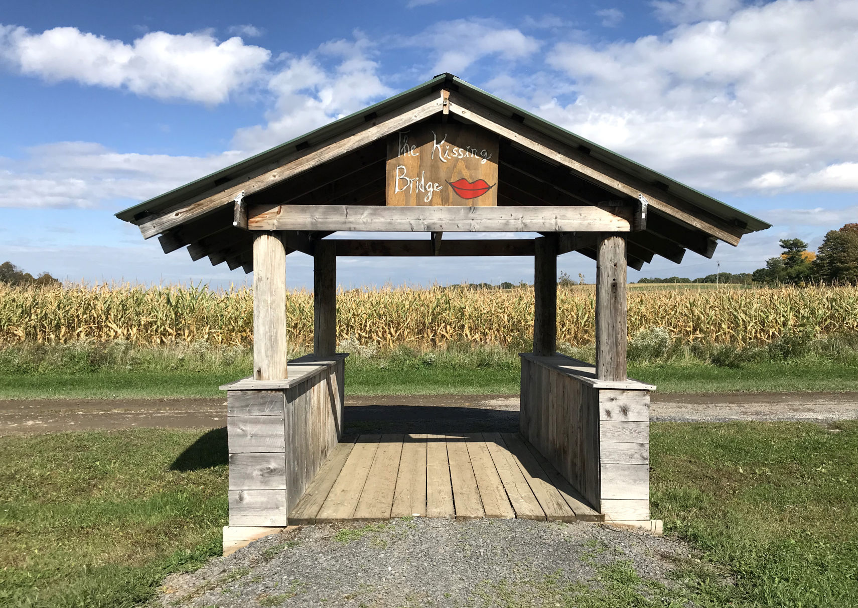 Penny's Country Farm 10
